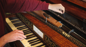 Support the collection